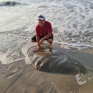Butterfly Ray, Cape May Surf